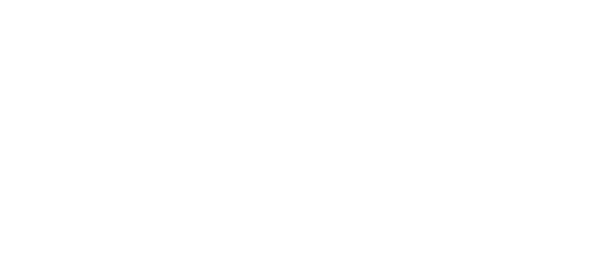 The Detailers MSC